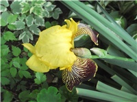 f6ec7a20-Picture 151.jpg